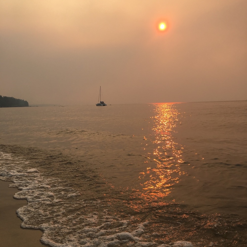 Meet your Posher, Caitlyn